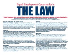 Equal Employment Opportunity (in red with ) is â€œTHE LAWâ€ very large in dark blue all caps, poster with seven sections, all dark blue. The section titles are all caps: 
a) race, color, religion, sex, national origin, talks about Title VII of the Civil Rights Act of 1964.
b) disability, under Title I and V of the Americans with Disabilities Act of 1990.
c) Age, this chapter talks about The Age Discrimination in Employment Act of 1967.
d) sex (wages), this section in addition to sex discrimination prohibited by Title VII of the Civil Rights Act, as amended, talks about the Equal Pay Act of 1963.
e) genetics section describes how Title II of the Genetic Information Nondiscrimination Act of 2008 protects applicants and employees from discrimination based on genetic information in hiring, promotion, discharge, pay, fringe benefits, job training, classification, referral, and other aspects of employment.
f) retaliation section covers entities from retaliating against a person who files a charge of discrimination.
g) what to do if you believe discrimination has occurred. In this section the title gives the clue of what it talks and how to protect yourself against it, including where to call and what website to reach to.
